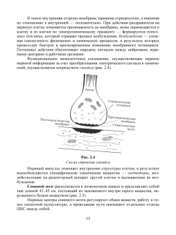 Позняковский, Дроздова, Влощинский: Физиология питания. Учебник