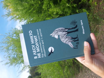 Мадлен Циге: В лесу никто не молчит. Как животные и растения общаются друг с другом