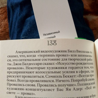 Кио Маклир: Птицы, искусство, жизнь. Год наблюдений