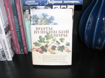 Баратынский, Дельвиг, Вяземский: Поэты пушкинской поры