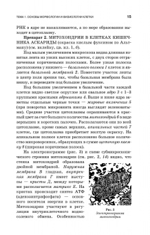 Вракин, Сидорова, Панов: Практикум по анатомии и гистологии с основами гистологии и эмбриологии сельскохозяйственных животных