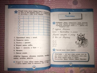 Александра Соболева: 100% грамотность. Нейропсихологический тренажер по чистописанию
