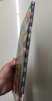 Джунгли. Животные и птицы