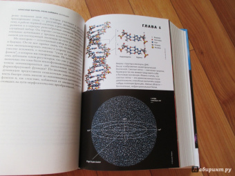 Марков, Наймарк: Эволюция. Классические идеи в свете новых открытий