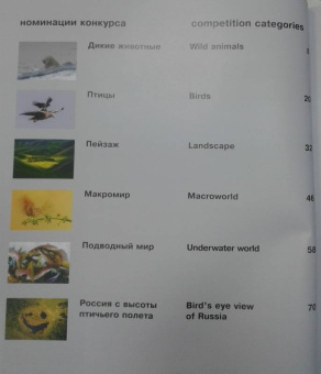 Россия - самая красивая страна. Фотоконкурс 2018