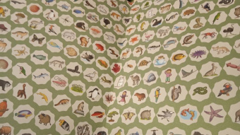 Паола Гримальди: Гигантский атлас животных мира