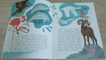 Илья Кочергин: Что такое Красная книга