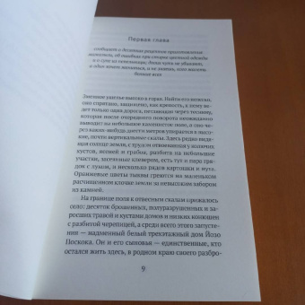 Анте Томич: Чудо в ущелье Поскоков