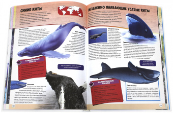 Большая книга животного мира