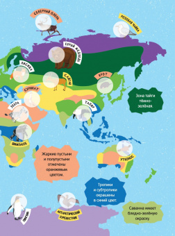 Сергей Петрушин: Большой атлас животного мира для детей