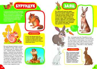 Анна Забирова: Животные для самых маленьких