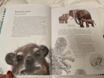 Бен Ротери: Тайны дикой природы