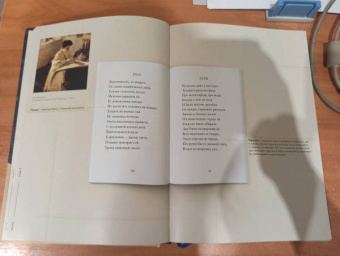 Пушкин, Рожников: Евгений Онегин. Подробный иллюстрированный комментарий