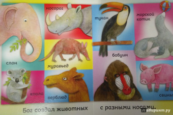 Bethan James: Бог создал меня