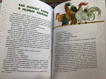 Марина Улыбышева: Как появляются слова