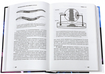 Марков, Наймарк: Эволюция. Классические идеи в свете новых открытий