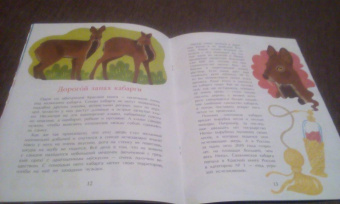 Илья Кочергин: Что такое Красная книга