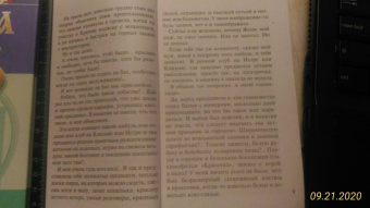 Устинова, Литвинова, Литвинов: Детектив-пикник