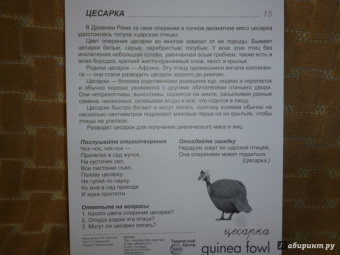 Т. Шорыгина: Демонстрационные картинки "Птицы домашние и декоративные" (16 картинок)