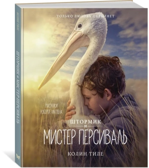 Тиле Колин: Штормик и мистер Персиваль
