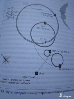Лиза Рэндалл: Достучаться до небес. Научный взгляд на устройство вселенной