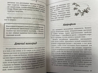 Галина Кизима: Малоуходный цветник. Особенности выращивания своими руками