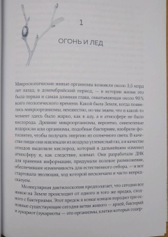 Бернд Хайнрих: Зима. Секреты выживания растений и животных в самое суровое время года