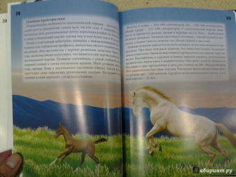 Леся Калугина: Хочу знать. Лошади