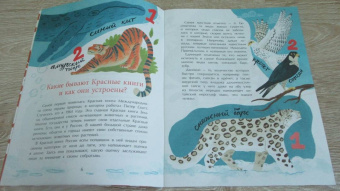 Илья Кочергин: Что такое Красная книга
