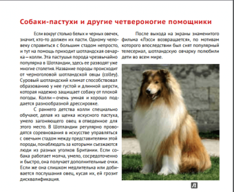 Ирина Новаш: Шотландия. Путеводитель для детей и их родителей