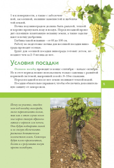 Анна Белякова: Виноград. Секреты выращивания для любого региона