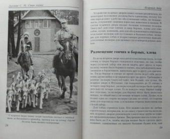 Сергей Духанин: Стая гончих для псовой и ружейной охоты