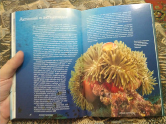 Илья Леенсон: Химические элементы. Популярный иллюстрированный гид