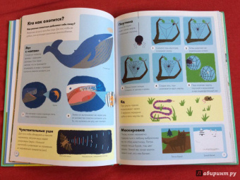 Софи Дову: Моя книга о животных