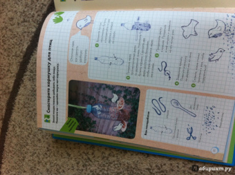 Софи Дову: Мой большой мир. Любопытные факты. Вопросы и ответы. Сделай сам