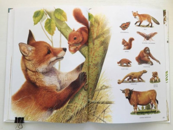 Селин Потард: Большой атлас животных