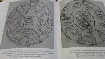Коншский, Шартрский, Сильвестр: Шартрская школа