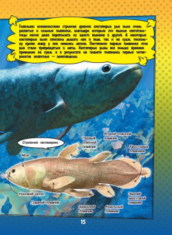 Ликсо, Кошевар: О подводном мире