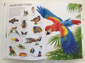 Селин Потард: Большой атлас животных