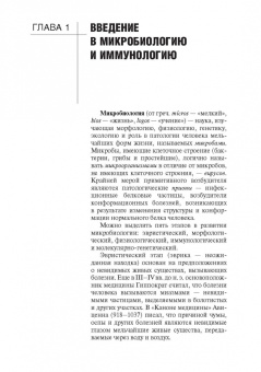 Зверев, Бойченко, Быков: Основы микробиологии и иммунологии. Учебник