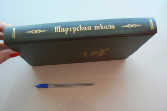 Коншский, Шартрский, Сильвестр: Шартрская школа