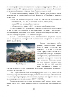 Александр Ветошкин: Организация защиты населения и территорий. Учебное пособие