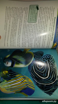 Лада Александрова: Хочу знать. Аквариумные рыбки