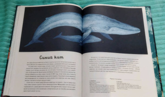 Лавдэй Триник: Океанариум