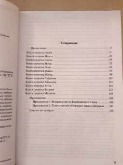 Иоанн Протодиакон: Писания малых пророков. Учебное пособие