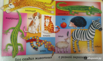 Bethan James: Бог создал меня