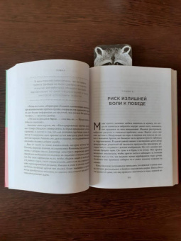 Дэвид Эпштейн: Универсалы. Как талантливые дилетанты становятся победителями по жизни