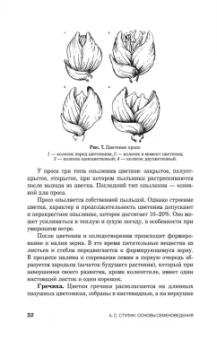 Александр Ступин: Семеноведение. Учебное пособие. СПО
