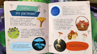 Анна Булгакова: Растения