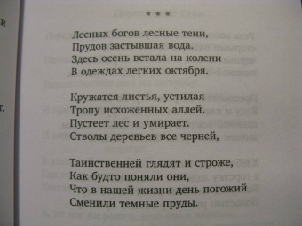 Петр Мамонов: На плотной земле. Стихотворения